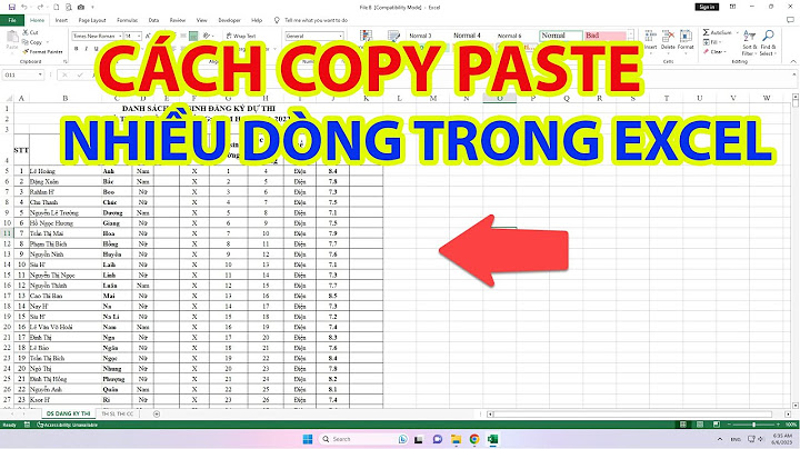 Hướng dẫn copy past trong excel 2023