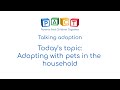 Talking Adoption | Adopting with pets in the household