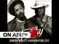 Damian Marley Ft. Barrington Levy - Healthy New 2014