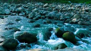 The Sound of Your Mind Being Gently Re-tuned | A Harmonic River
