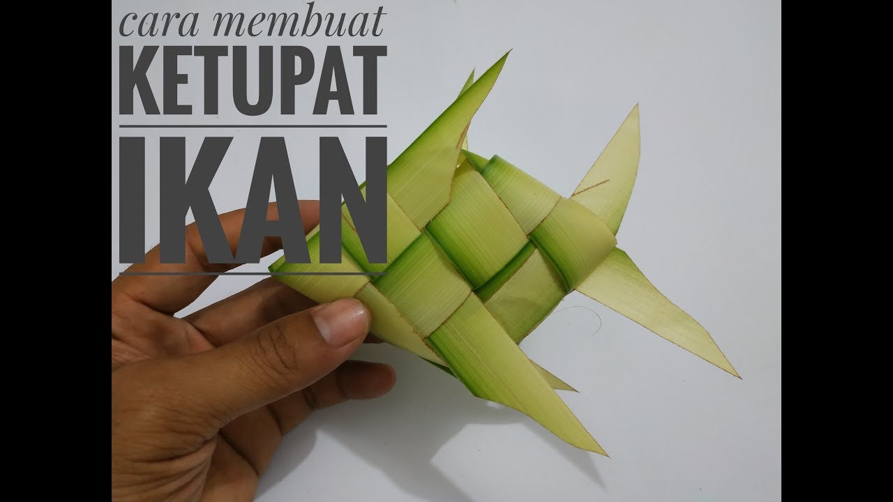 Cara  membuat  ketupat ikan dari  daun  kelapa  YouTube