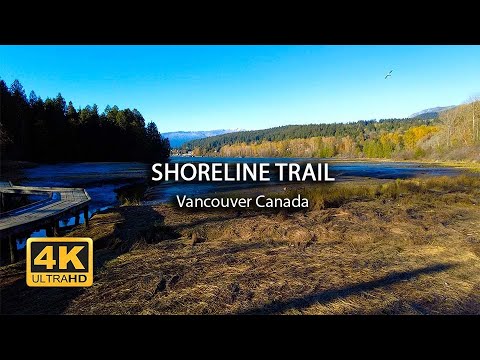 [4K] Shoreline Trail, Port Moody, Canada | Walking Tour | Island Times