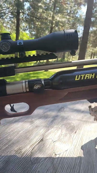 Rainson Edge -W .22 #airgun #pcp #rainson