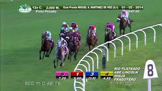 GP MIGUEL ALFREDO MARTINEZ DE HOZ G1 2014 -  FRAGOTERO