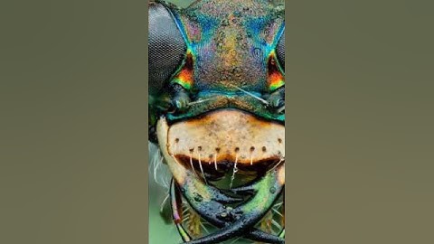 how iconic pic #pickacard #photography #cinematicshots #photovideo