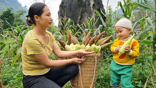 Harvesting corn to sell at the market | Cooking with daughter on the farm