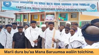 Mana Barnoota Ifa Boruu Bultii Addaa Yaaballoo