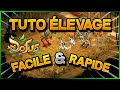 TUTO ÉLEVAGE DOFUS - TOUT SAVOIR SUR LES DRAGODINDES !