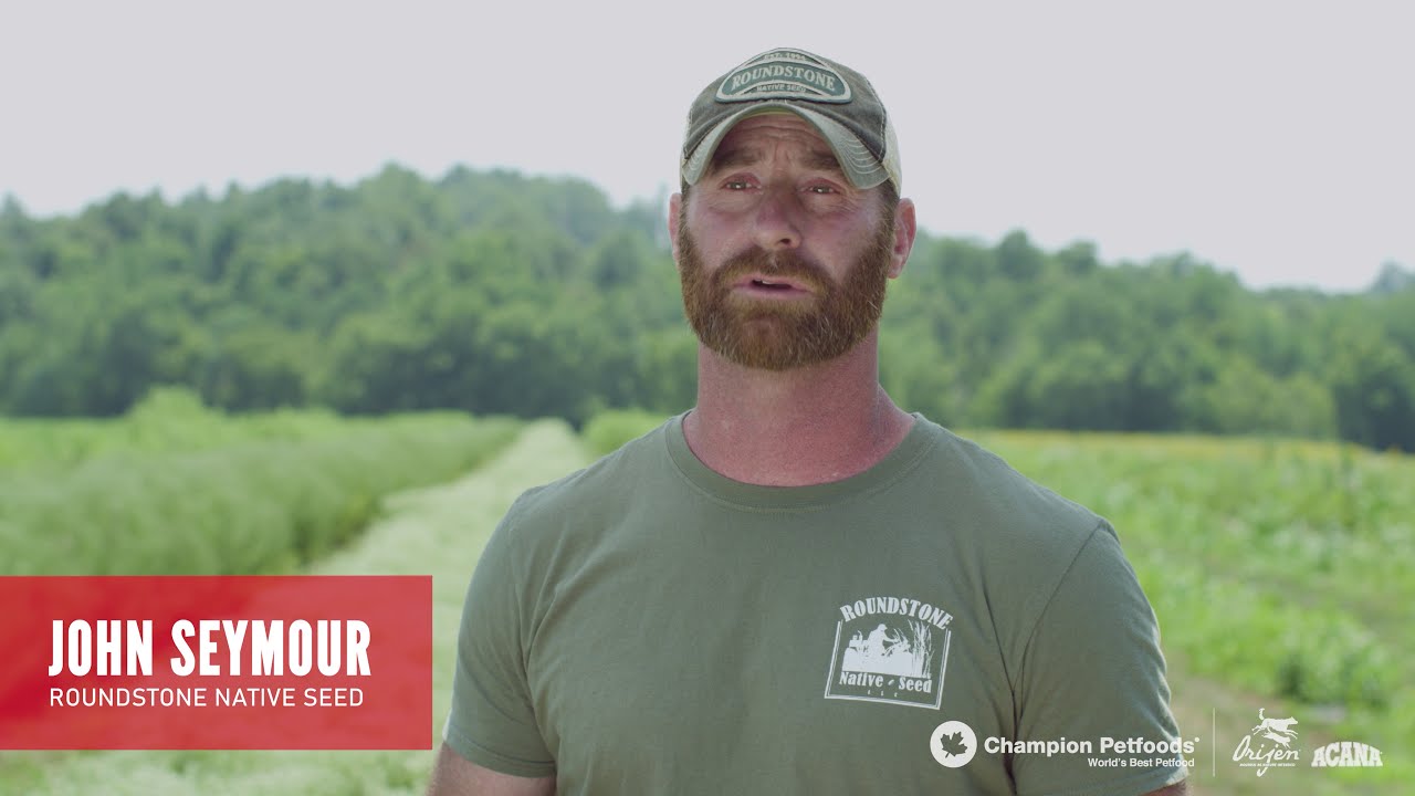 Roundstone Native Seed - Trusted Champion Petfoods Supplier