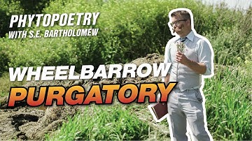 Wheelbarrow Purgatory (Garden Compost) | Phytopoetry