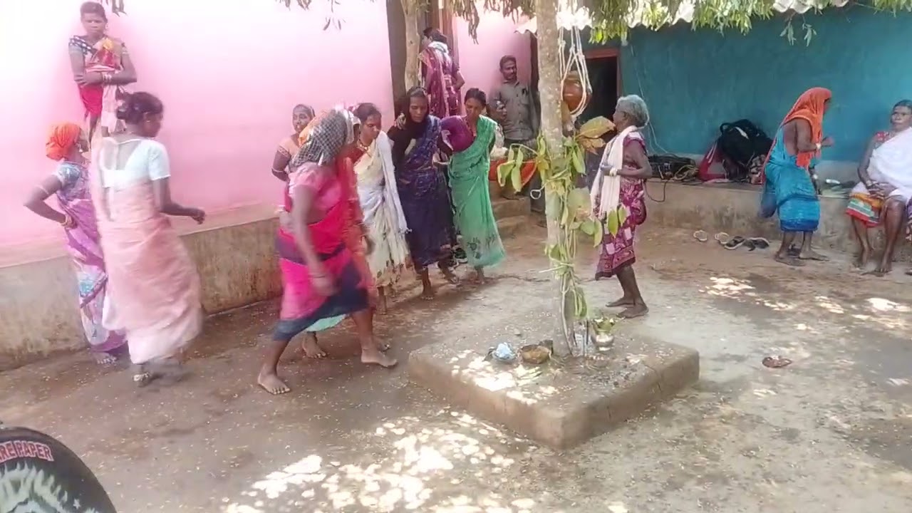 मगर गुड़ा ले लीमोरिया9202709403