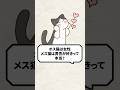Q：オス猫は女性、メス猫は男性が好きって本当？