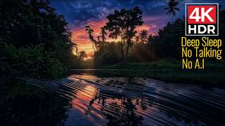 Field River Twilight  Calm your Mind NO. A.I