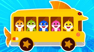 Shark Family Bus Goes Round And Round Baby Shark Adventures For Kids By Bubbles