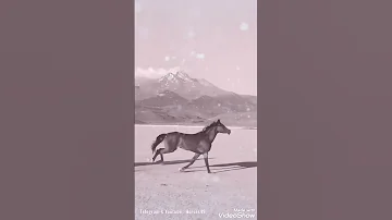 لكل شيء إذا ما تم نقصان 