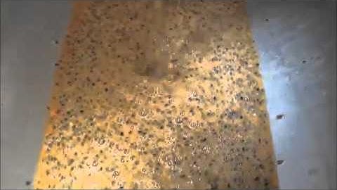 Cung cấp dây chuyền chế biến trái chanh leo (dây) - 0938 613 408