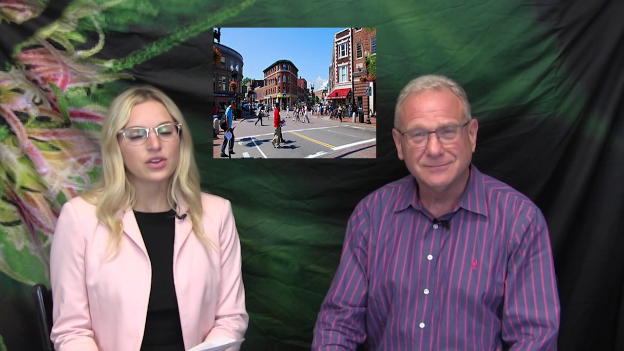 Cannabis Civil War in Cambridge!