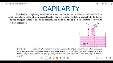 Fluid Mechanics// Capillary Effect// Numerical :01
