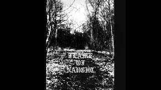 Flame of Naught - Distant Light (2024)