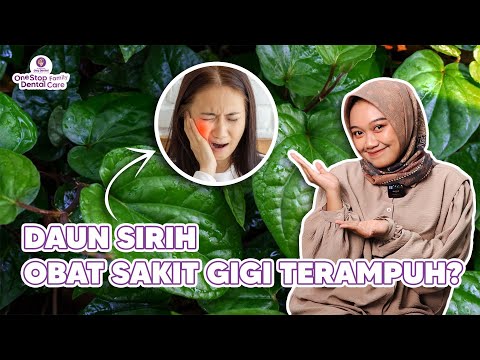 OBAT SAKIT GIGI DARI DAUN SIRIH! SEMANJUR APA?