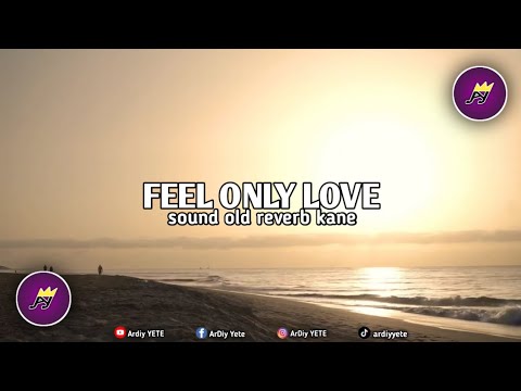 DJ FEEL ONLY LOVE SOUND OLD    •    [slowed + reverb]