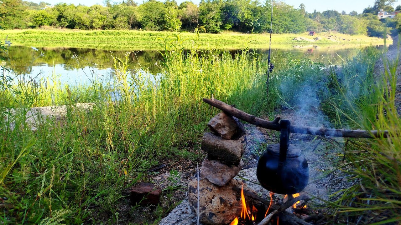 PESCA de CARPA para CARNADA. CÓRDOBA 