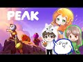 【PEAK】飛行機が墜落して島に遭難しました!そうなんですね(?)