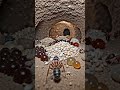 how ants lives and store their food.....