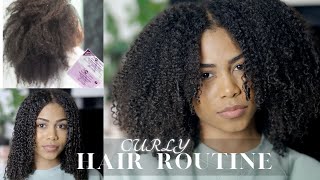 CURLY HAIR ROUTINE (The answer is PROTEIN!!) - **For Volume and Definition**