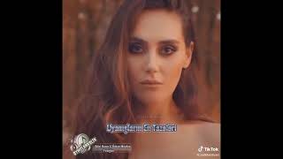 Bilal Hancı Ve Özkan Meydan - Feriğim