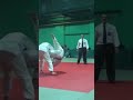 The Ultimate Judo Technique:Flying Armbar in Action