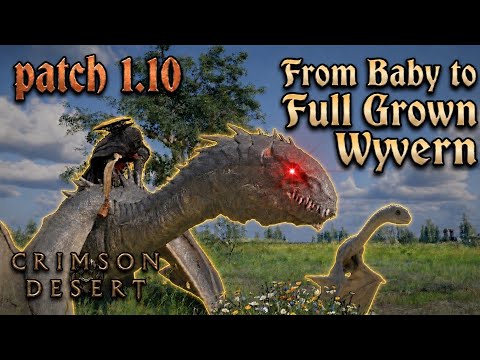 How To Grow Baby Wyvern Into A Mount - Crimson Desert New Update!