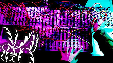 CGS Serge Modular Synth Chaos Sounds #TTNM