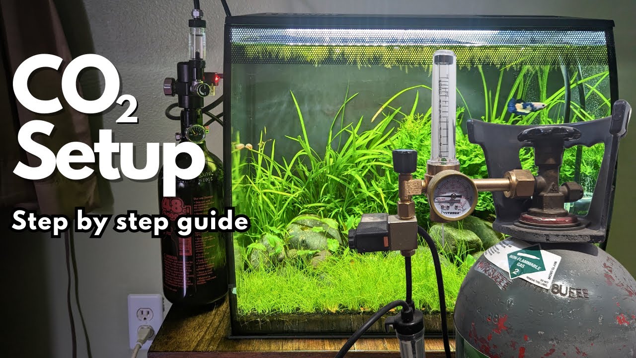 A Step by Step Guide to Setting Up CO2 in Your Planted Aquarium YouTube
