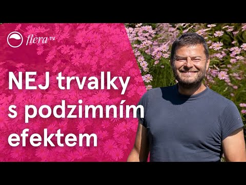 Video: Trska, Pečena S Paradižnikom