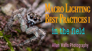 Macro Lighting Best Practices I - in the field