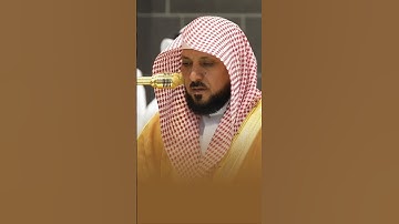 جزء 2| سورة الفيل الشيخ #ماهر_المعيقلي #اكسبلور #القرآن_الكريم #لايك #دويتو #تيك_توك