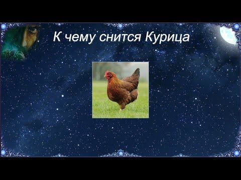 К чему снится Курица (Сонник)