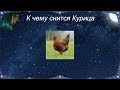 К чему снится Курица (Сонник)