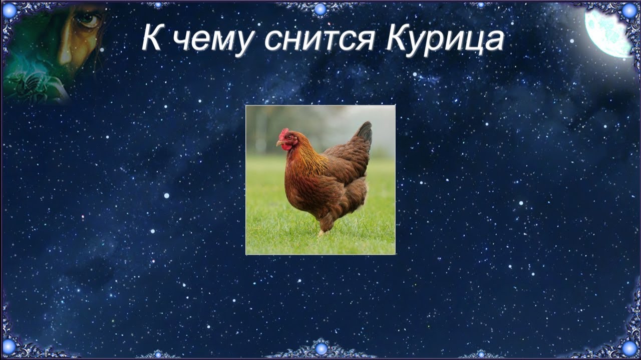 К чему снится Курица (Сонник)