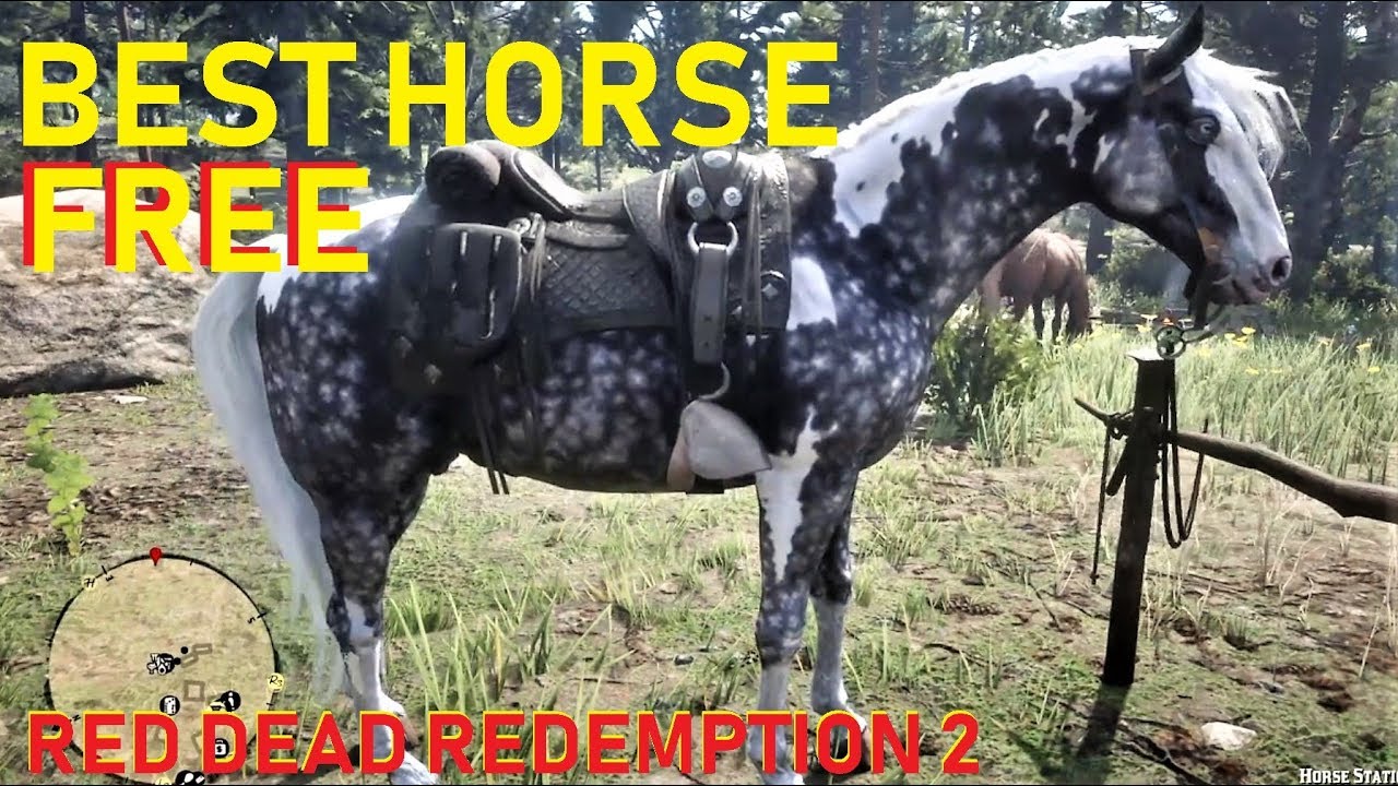 Red Dead Redemption 2 How to get best horse FREE 2 step description
