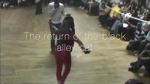 Aamina Prodigy tribute - The Return of the Black Alley cat