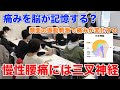 【頭蓋仙骨療法】慢性的な痛みを顔面の刺激で緩和できる理由とやり方　慢性腰痛の原因・自分でセルフ