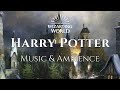 Harry Potter - Hogwarts Music &amp; Ambience (1 hour ambient music)