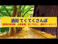 【てくてくさんぽ】酒田 豪商の邸宅、北前船で栄えた港町〈本間美術館、山居倉庫、おくりびと〉Walk around Sakata,YAMAGATA JAPAN
