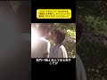 ウルトラマンシリーズにおける「悪役から仲間へ」キャラトップ10第8、7名