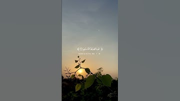 قرآن كريم 🌸سورة الفاتحة (كاملة) 🌸القارئ خضر الدليمي