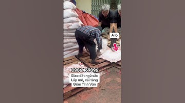 Giao đất ngũ sắc ngũ Linh tâm linh phong thủy bốc mộ cải táng hạ huyệt lấp mộ sang cát #datngusac