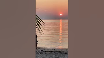 POJO vs Java Bean #Java #POJO #JavaBeans #Entity #JPA #Hibernate #Coding #Developers #JavaTips