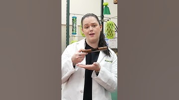 RESCUE! makes a better-looking Spider Trap. #DIY #PestControl #homeownershiptips